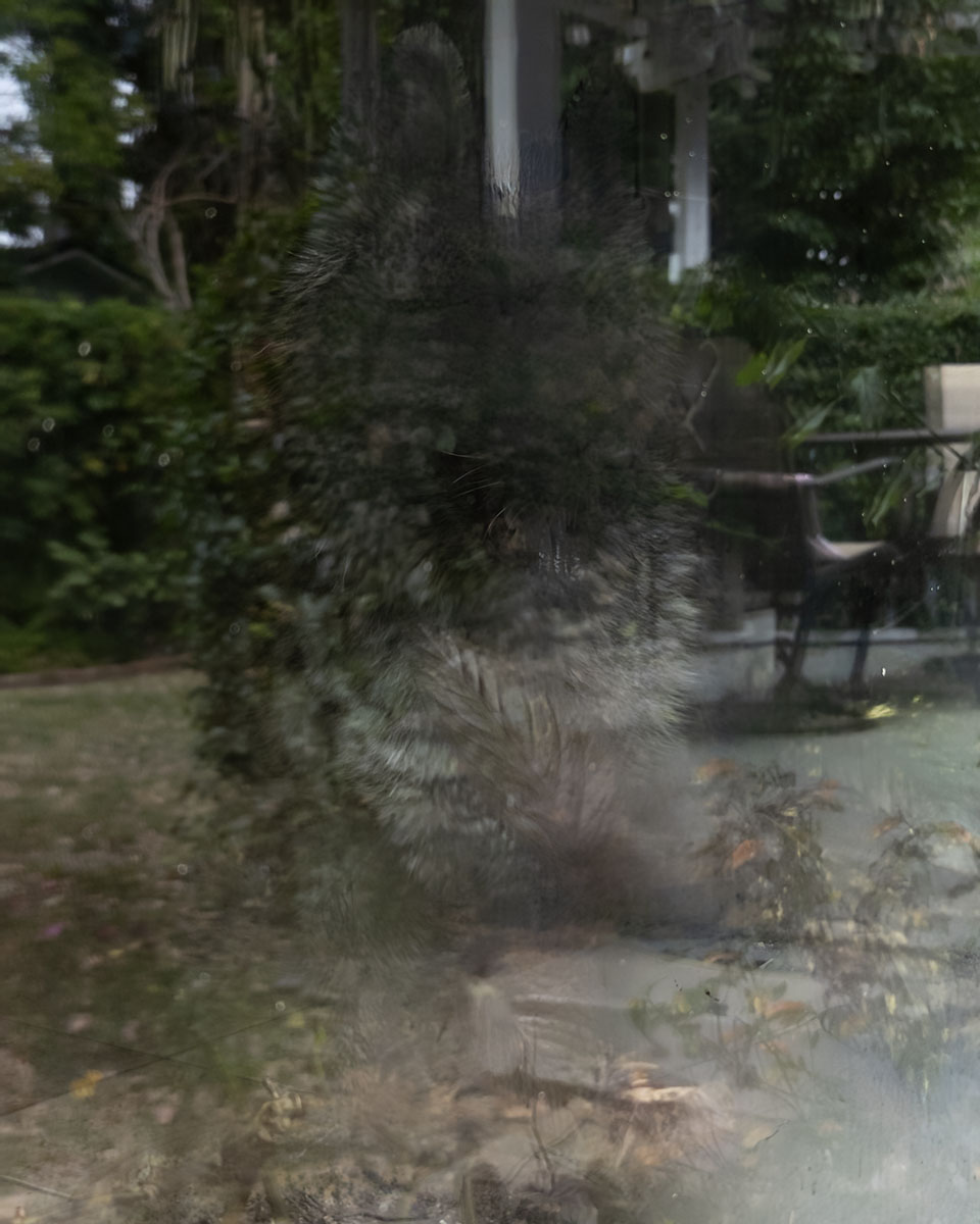 Reflection Layer